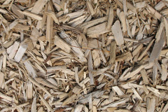 biomass boilers Masbrough